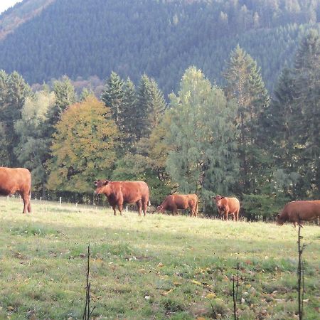 Urlaub Auf Dem Bauernhof Daire Netphen Dış mekan fotoğraf