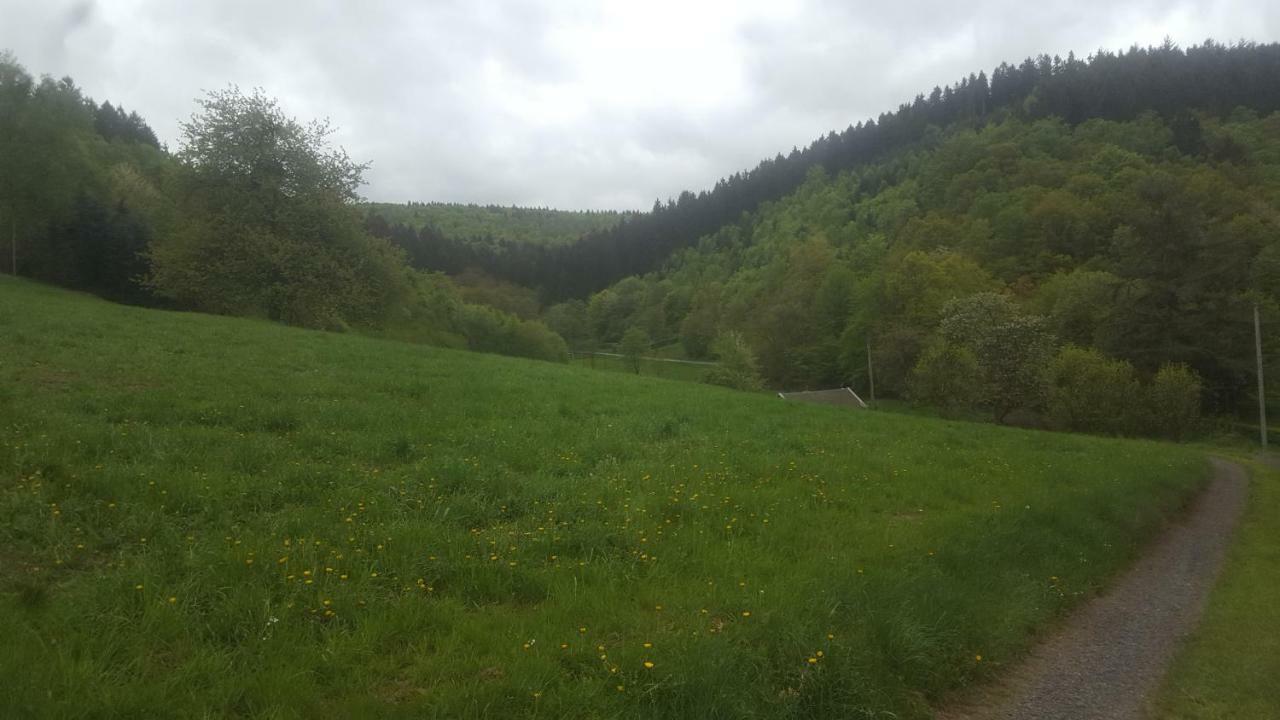 Urlaub Auf Dem Bauernhof Daire Netphen Dış mekan fotoğraf