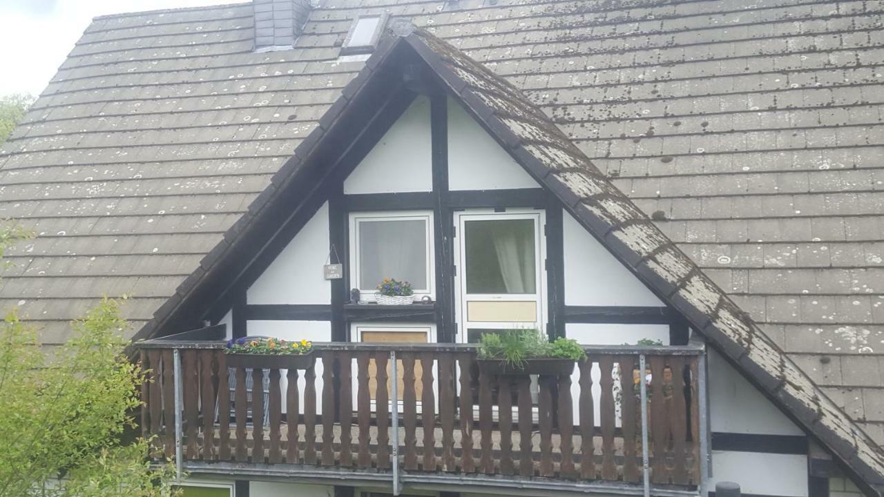 Urlaub Auf Dem Bauernhof Daire Netphen Dış mekan fotoğraf